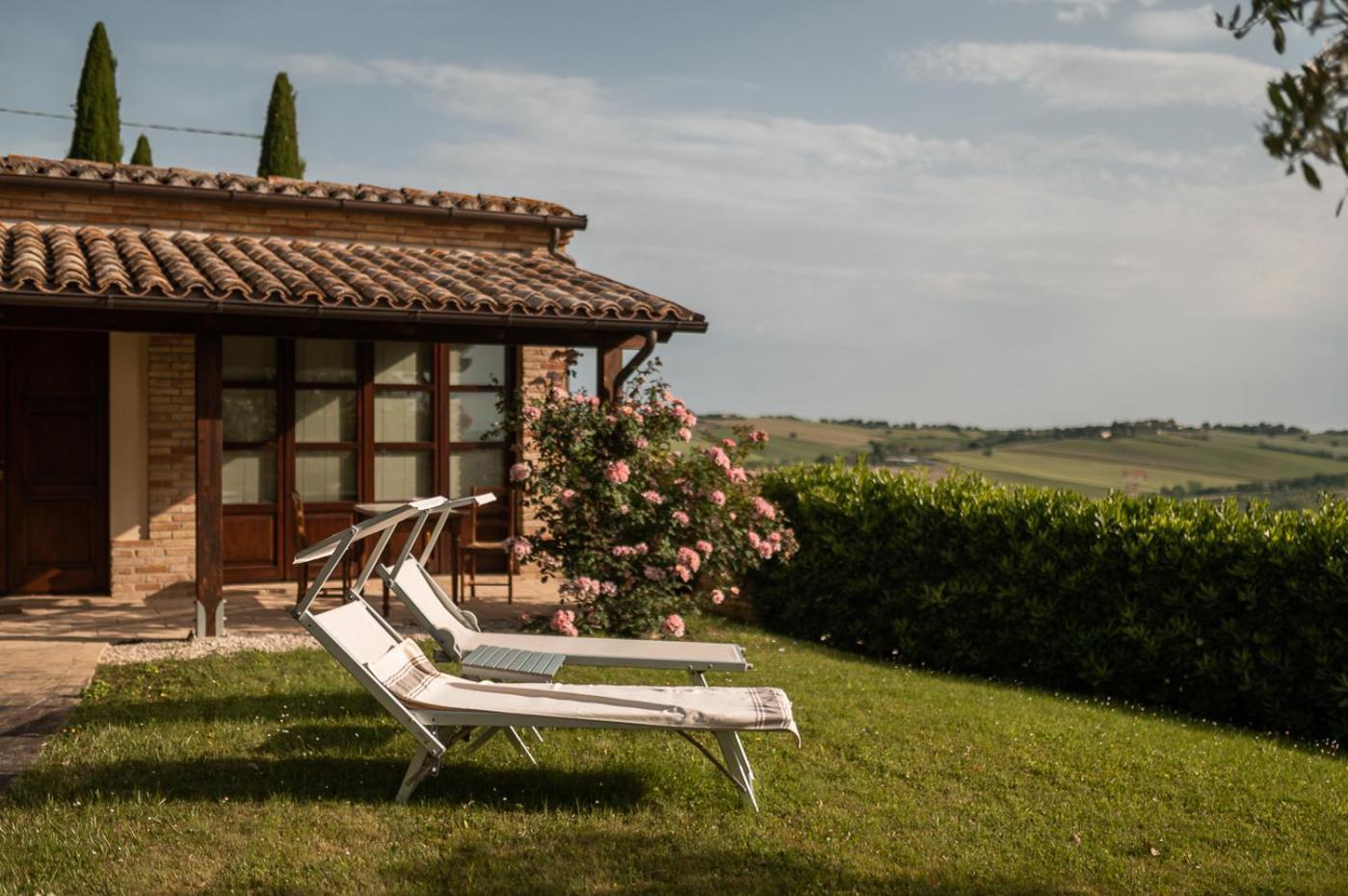 Poggio Antico Daire Monte San Vito Oda fotoğraf