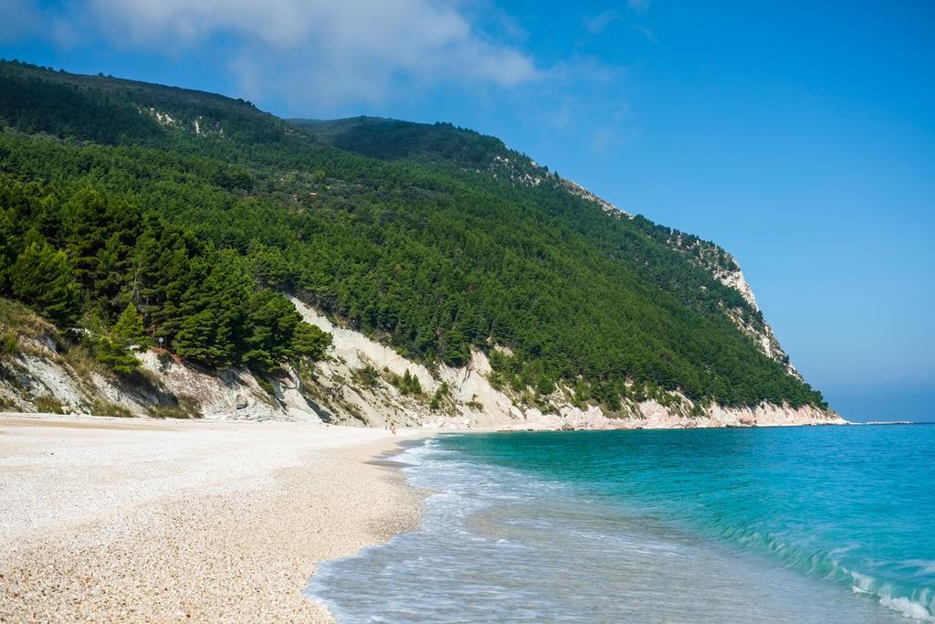 Poggio Antico Daire Monte San Vito Dış mekan fotoğraf
